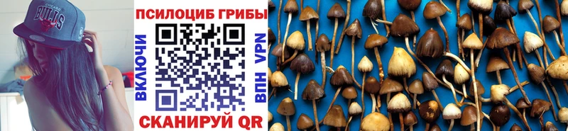 купить цена hydra ТОР Псилоцибиновые грибы мицелий Шимановск